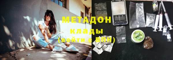 индика Алексин