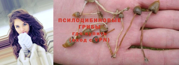 spice Алзамай