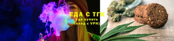 индика Алексин
