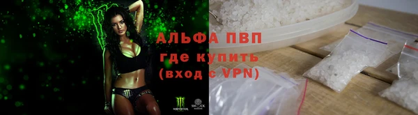 индика Алексин