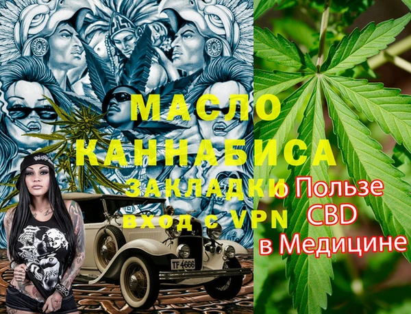 индика Алексин