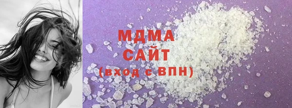 индика Алексин