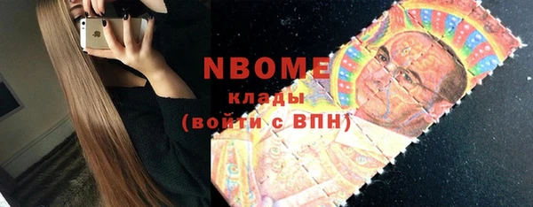 индика Алексин