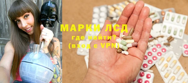 индика Алексин