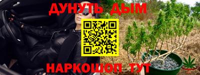 прущие крисы Нарткала