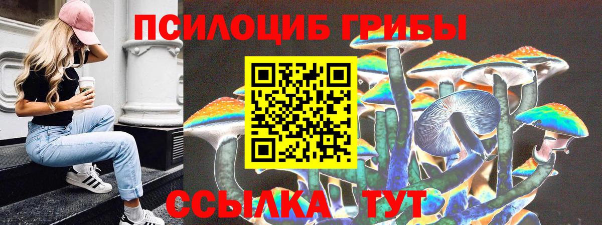 Псилоцибиновые грибы Psilocybine cubensis  Вход с VPN  Псилоцибиновые грибы Cubensis  Балашов 