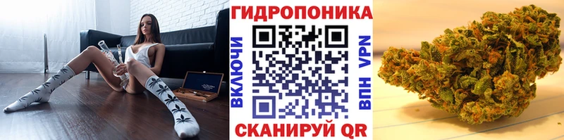 где найти наркотики  гидра как зайти  Марихуана план  Балашов 